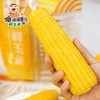 【一件代发】傻小胖鲜玉米1.8kg/袋 商品缩略图0