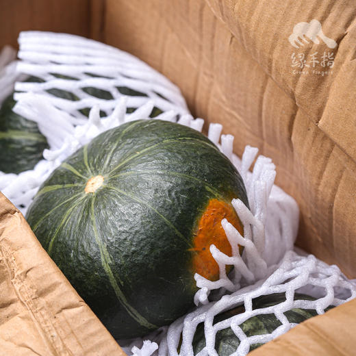 有机贝贝南瓜（中通快递） | 合作生产* Organic Pumpkin | Partner Production 商品图5
