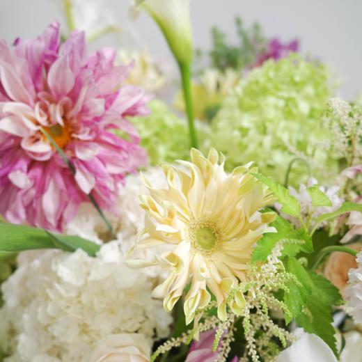 浣花白镜 Petalglow 商品图2