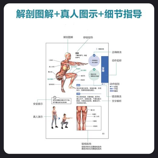 无器械训练彩色图谱 口袋版 徒手健身 无器械力量训练 健身书籍 健身训练计划 增肌书籍 力量与肌肉训练图谱 商品图3