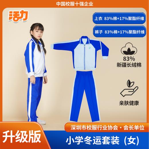 【升级版】深圳艺展小学夏秋冬校服套装 商品图5