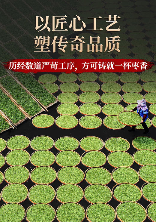 传奇会茶叶  福鼎白茶寿眉老白茶2饼装共500g（250g*2） 2019年老寿眉正宗福建白茶2饼装 商品图8