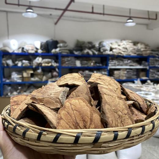 九龙藤 商品图1