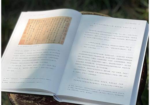 《非尚意：苏轼的书法和他的时代》，精装，16开，王义军著，中国美术学院出版社2024年一版一印，368页，定价98，售价：78元。 商品图2