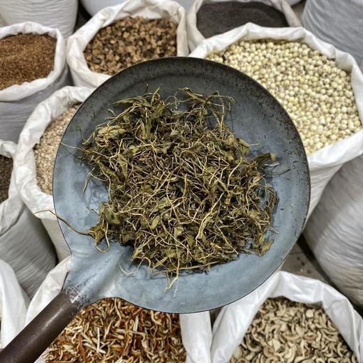 蛇须草 一支箭 商品图3