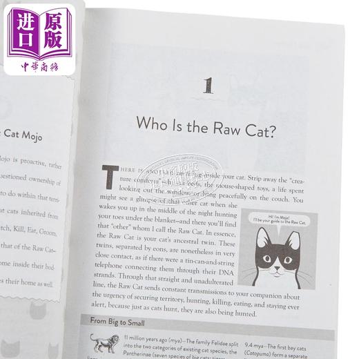 【中商原版】全能猫咪 Total Cat Mojo 英文原版 Jackson Galaxy with Mikel Delgado PhD 英文原版 生活休闲 宠物 商品图3