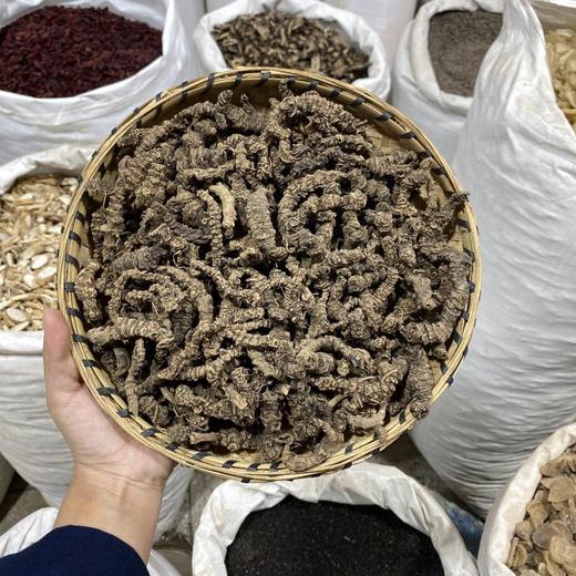 马蹄香 蜘蛛香 商品图0