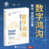 数字鸿沟：概念、成因与后果/“十四五”时期国家重点出版物出版专项规划项目/数字社会科学丛书/韦路著/浙江大学出版社 商品缩略图0