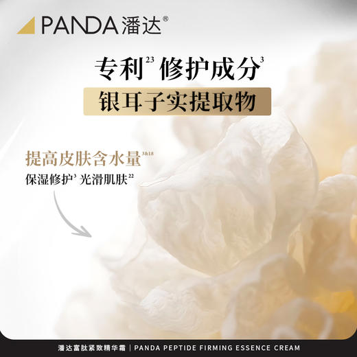 【直降230❗限量手慢无】潘达富肽面霜抗皱紧致保湿修护胜肽乳霜面部护肤品50g 商品图4