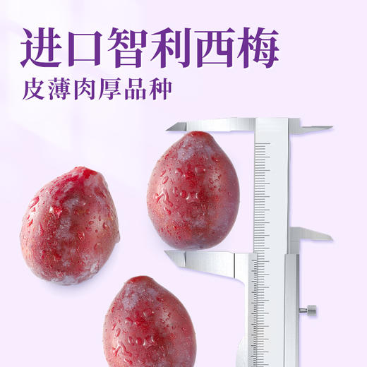 华味亨西梅干500g/袋蜜饯果干酸甜梅子果干0脂肪孕妇休闲零食团购送礼 商品图5