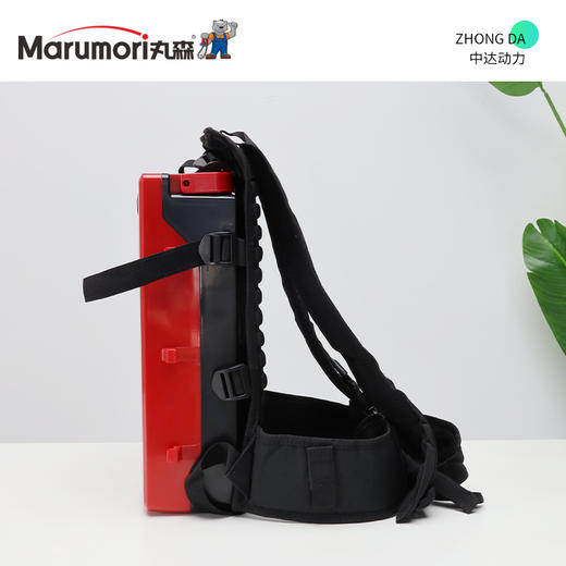 丸森 48V 25Ah【带快充】 商品图4