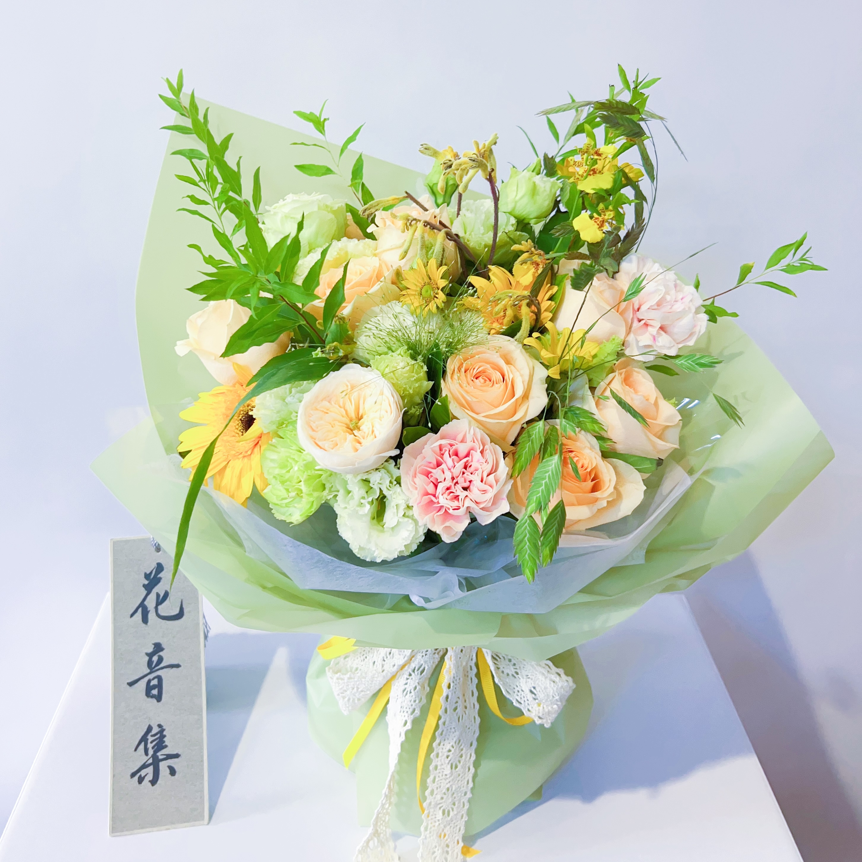 夏安——夏天的风