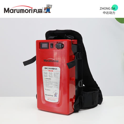 丸森 48V 25Ah【带快充】 商品图6