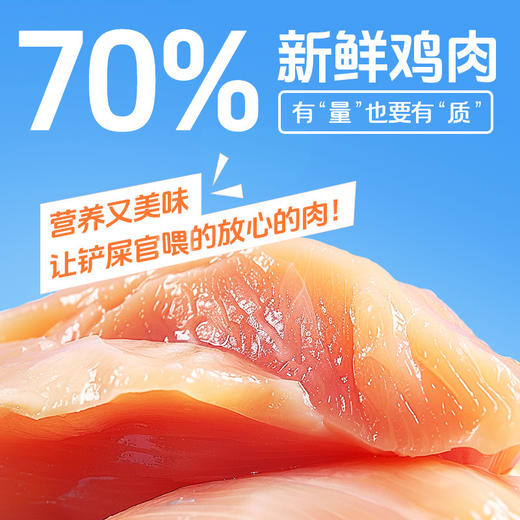 冒险与它 狸子酱90g 猫咪零食 妙鲜包 咕噜酱鸡肉金枪鱼营养增肥猫湿粮 商品图3