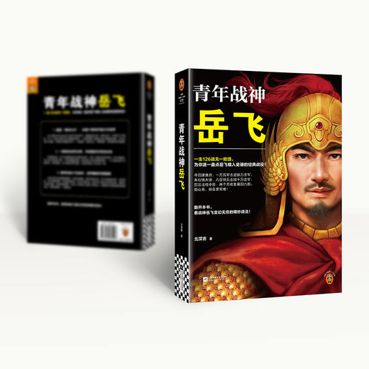 青年战神岳飞 商品图2