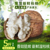 【云南新鲜湿核桃】去青皮新鲜湿核桃 百年古树核桃 薄皮嫩核桃 清甜脆嫩 甘甜味美 剥开薄壳 果仁饱满 赠送核桃夹 2种规格任选 商品缩略图2