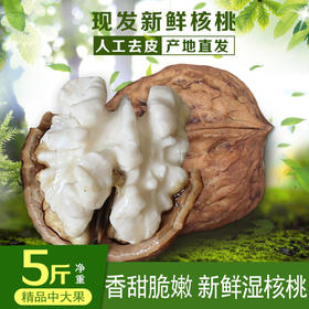 【新鲜湿核桃】云南去青皮新鲜湿核桃 薄皮嫩核桃 清甜脆嫩 甘甜味美 剥开薄壳 果仁饱满 赠送核桃夹 2种规格任选