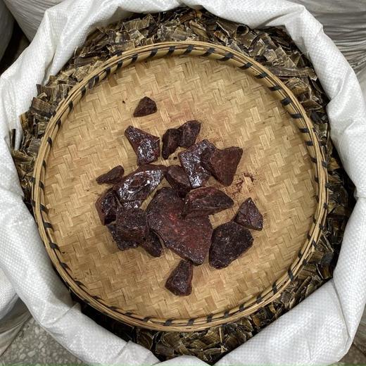 龙血竭 商品图4