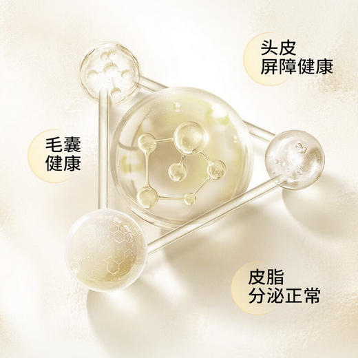 滋源  生姜强根健发洗头水535ml（油性） 商品图2