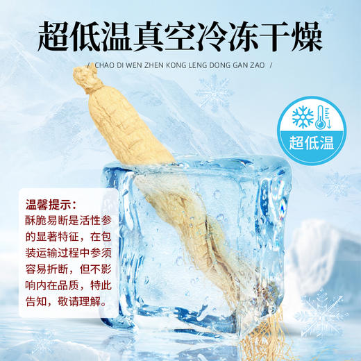 热售【梅兰竹菊活性参】长白山人参超低温真空冷冻干燥活性参 商品图3