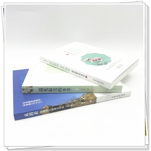 【全3册】采药去（第二版）+遇见最美的本草+诗经如画 本草如歌 段煦 著 中国中医药出版社 中药趣味说明书 商品图3