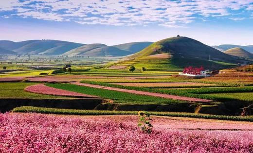 腾格里沙漠粉红湖、定边万亩荞麦花&七彩盐田、波浪谷、雨岔大峡谷、壶口瀑布8天纯玩团 商品图0