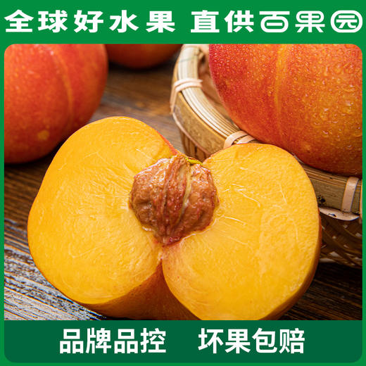 PAGODA百果园A级-黄油蟠桃9粒礼盒装 商品图2