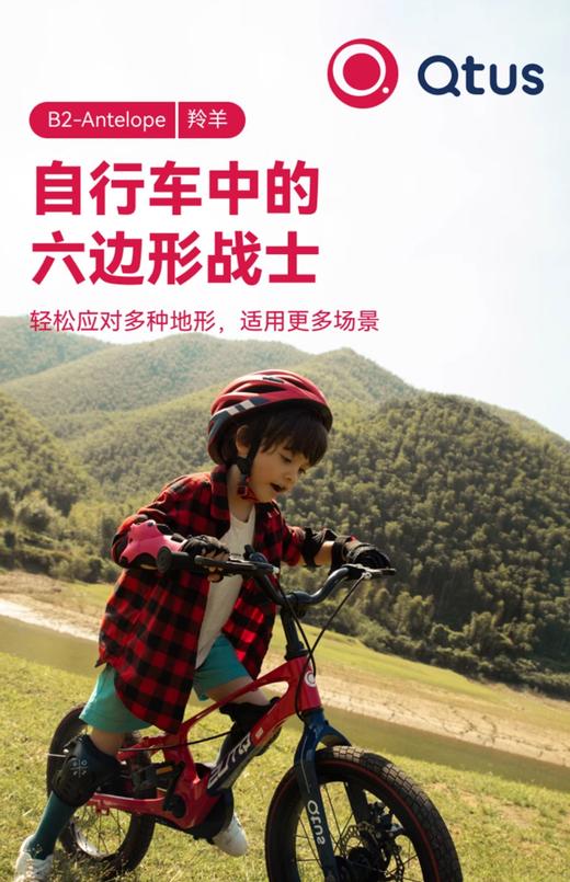 昆塔斯B2自行车 商品图3
