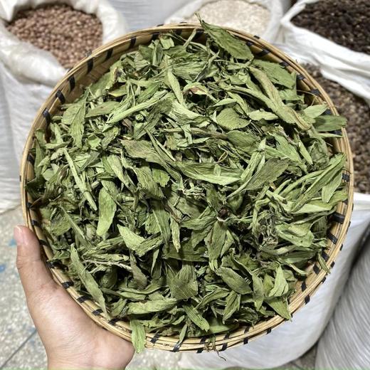 甜叶菊 商品图0