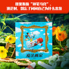 遇见大师：里奥·提莫斯儿童绘本（脑洞大开系列） 商品缩略图6