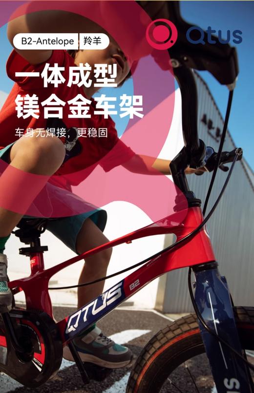 昆塔斯B2自行车 商品图4