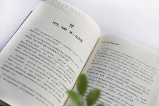 心理咨询与治疗100个关键点译丛--存在主义治疗：100个关键点与技巧 商品图4