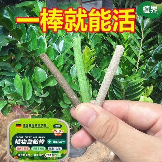 植物急救棒强效六合一植物花卉多肉通用型氮磷钾家庭园艺肥料 商品图1