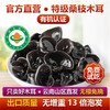 新货特级有机桑木耳200g黑木耳干货特级非野生特产级软糯肉厚无根 商品缩略图0