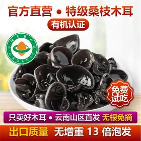 新货特级有机桑木耳200g黑木耳干货特级非野生特产级软糯肉厚无根