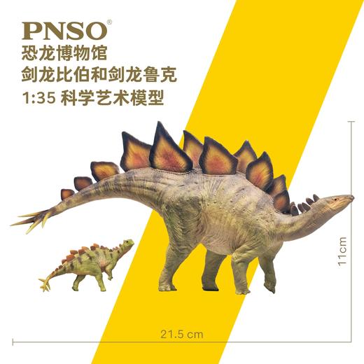 PNSO剑龙比伯和剑龙鲁克恐龙博物馆1比35科学艺术模型 商品图2