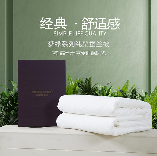 梦缘系列纯桑蚕丝被 AQZB 商品图0