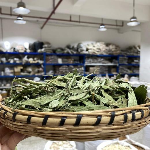 甜叶菊 商品图1