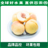 PAGODA百果园阳山水蜜桃6粒礼盒装（单果150g+） 商品缩略图1