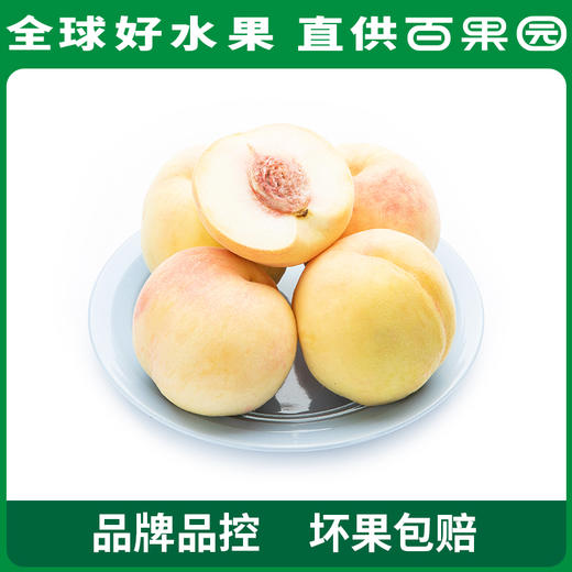 PAGODA百果园阳山水蜜桃6粒礼盒装（单果150g+） 商品图1