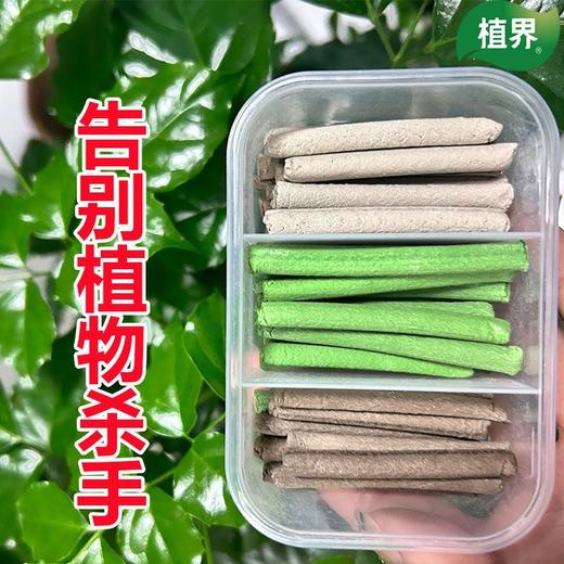 植物急救棒强效六合一植物花卉多肉通用型氮磷钾家庭园艺肥料 商品图3