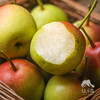 生态高原红云梨| 合作生产*Ecological plateau red cloud pear Partner Production 商品缩略图0