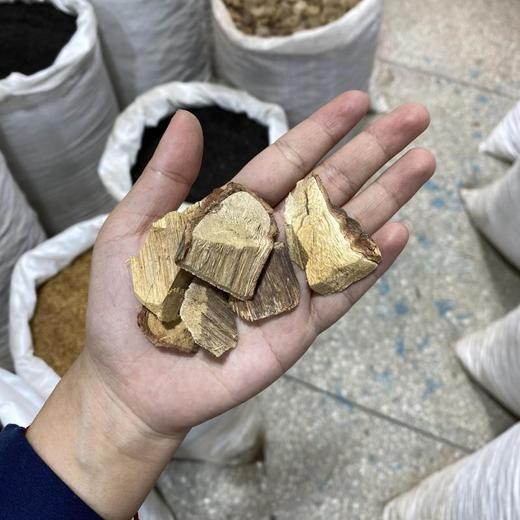 定心藤 商品图4