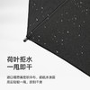 法国MC marieclaire雨伞男士晴雨两用太阳伞自动雨伞大号黑色雨伞 商品缩略图7