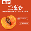 PAGODA百果园招牌-奶皇杏3斤礼盒装 商品缩略图2