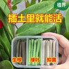 植物急救棒强效六合一植物花卉多肉通用型氮磷钾家庭园艺肥料 商品缩略图0