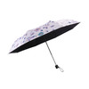 法国MC marieclaire遮阳伞防晒伞太阳伞女防紫外线晴雨两用黑胶伞 商品缩略图3