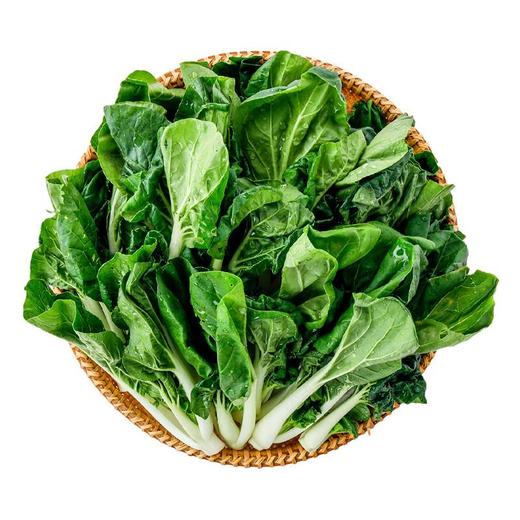 每日伊藤奶白菜400g 商品图2