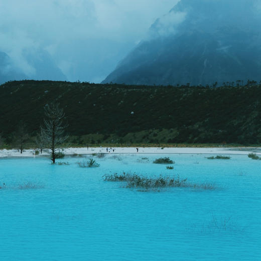 云南 | 丽江干河坝1日徒步，穿越森林，草甸，河流，冰川，湖泊，看白色荒原牛奶湖，探壮观玉龙大峡谷！五一端午路线提前预定！ 商品图3