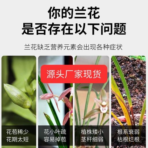 【一个月插1只】绿植肥懒人植物营养棒花家用花卉养花肥料氮磷通用型棒状盆栽缓释 商品图7